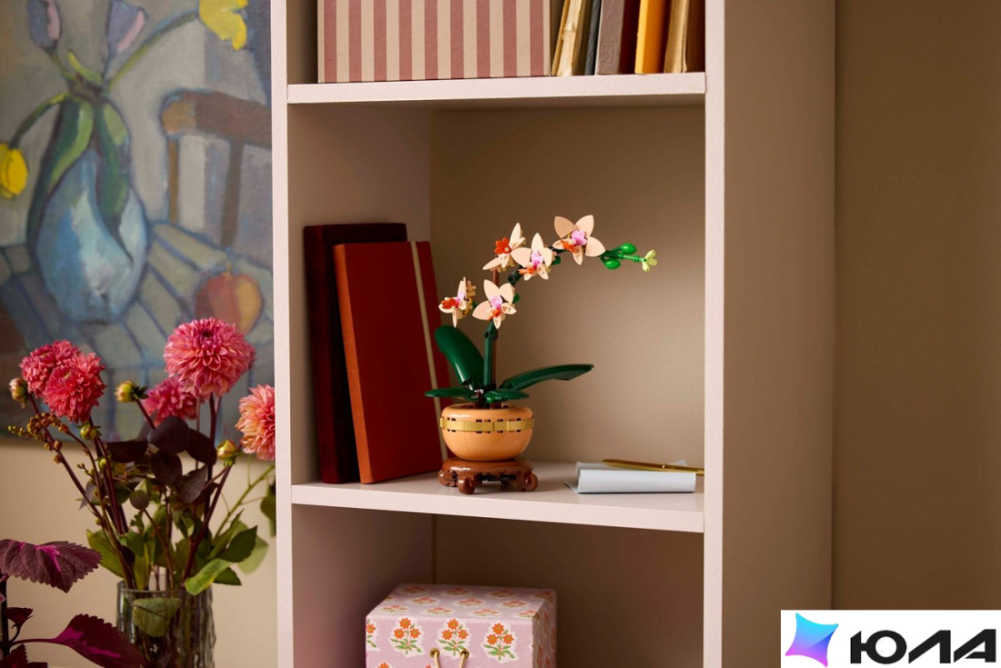  картинка