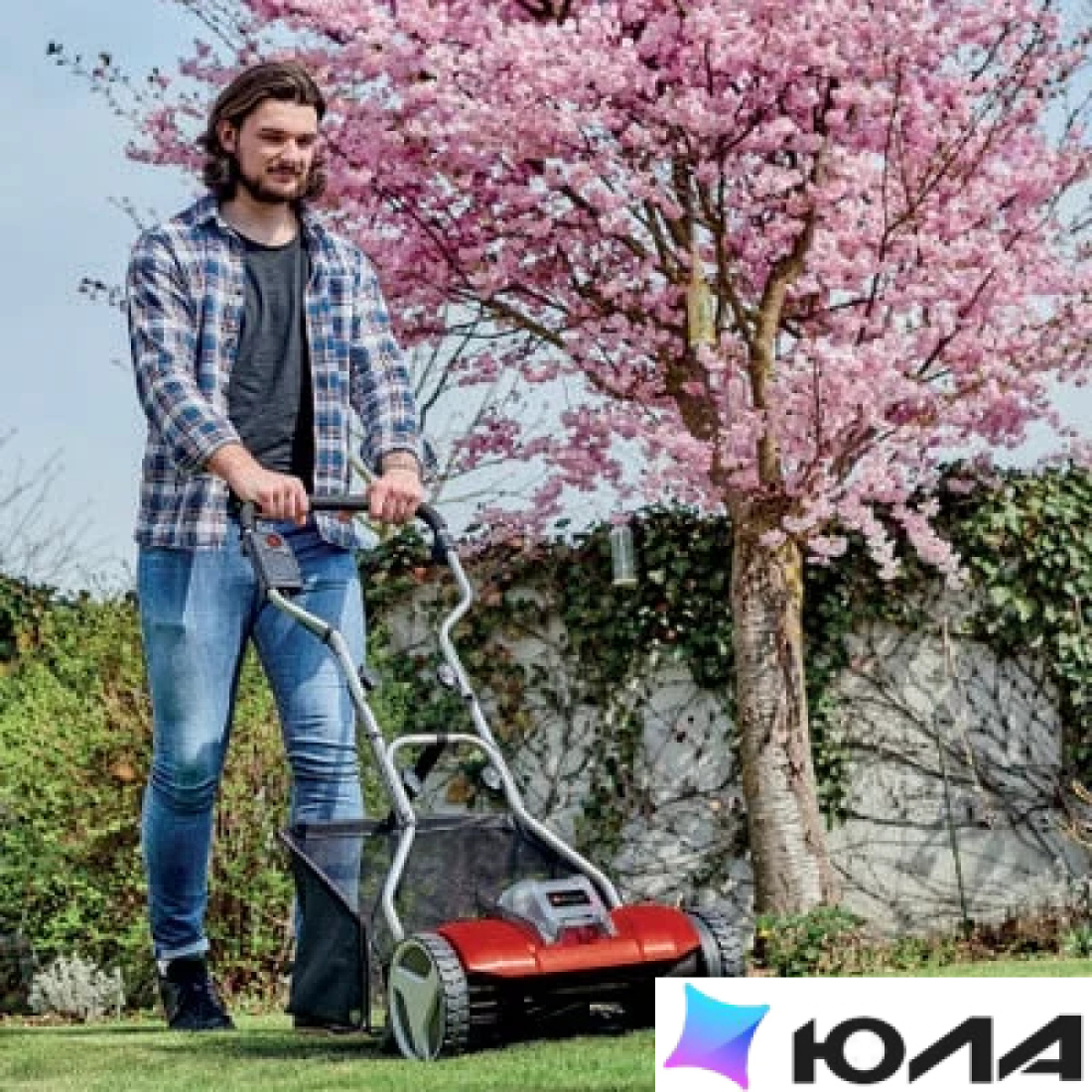  картинка